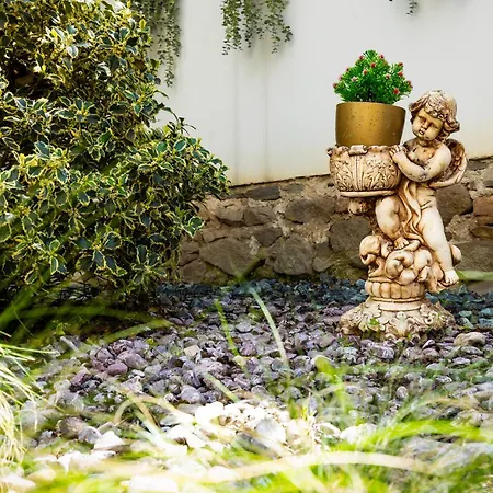 Old Town 2br Spacious House With Private Garden And Free Parking * Plovdiv