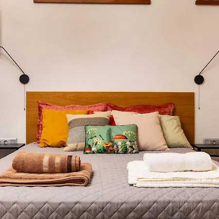 Old Town 2br Spacious House With Private Garden And Free Parking Villa Plovdiv