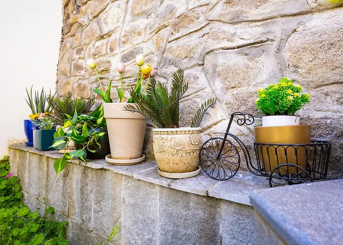 Old Town 2br Spacious House With Private Garden And Free Parking