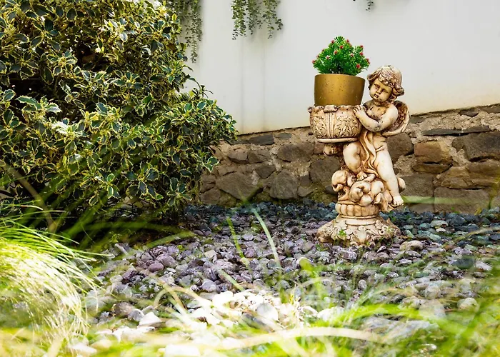 Old Town 2br Spacious House With Private Garden And Free Parking * 普罗夫迪夫