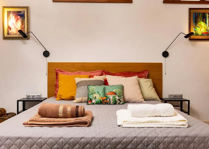 Old Town 2br Spacious House With Private Garden And Free Parking 别墅 普罗夫迪夫